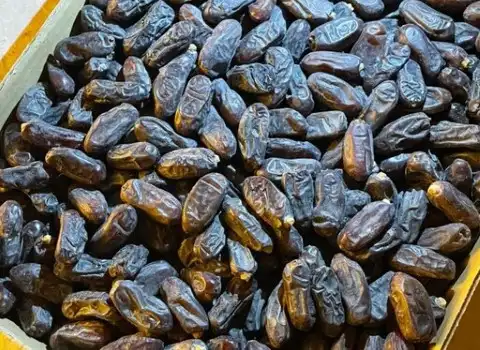 تصویر 2 از خرید خرما ربی تازه + قیمت فروش استثنایی